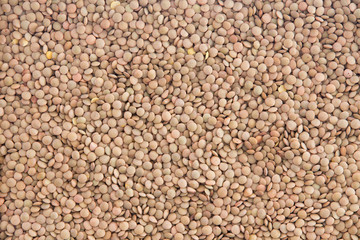 Dried brown lentils, Lens culinaris