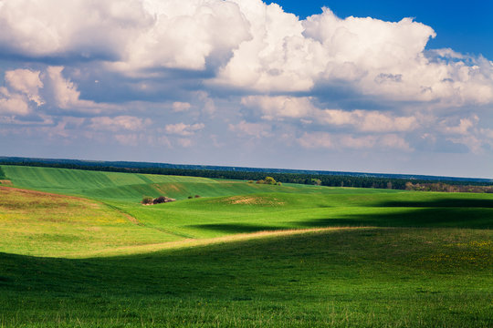 Green grass under blue sky