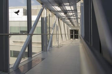 Corridor in office building