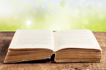 Reading a book outdoors