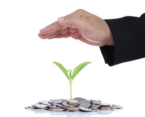 Businessman hand protect money for safe investment in the future