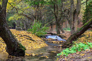 Mountain river in forest, autumn landscape