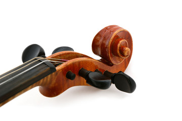 Geige Schnecke