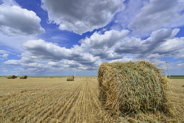 circular haystack in windmill farm field with white grey clouds
