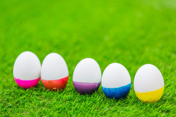 Easter Eggs on Fresh Green Grass