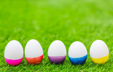Easter Eggs on Fresh Green Grass