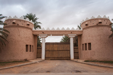Riyadh extravagant and huge houses, Saudi Arabia