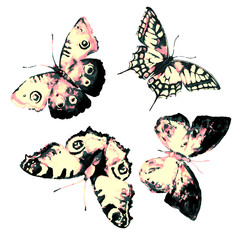 butterflies design