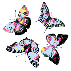 Obraz premium butterflies design