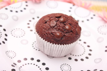 Schokoladenmuffins