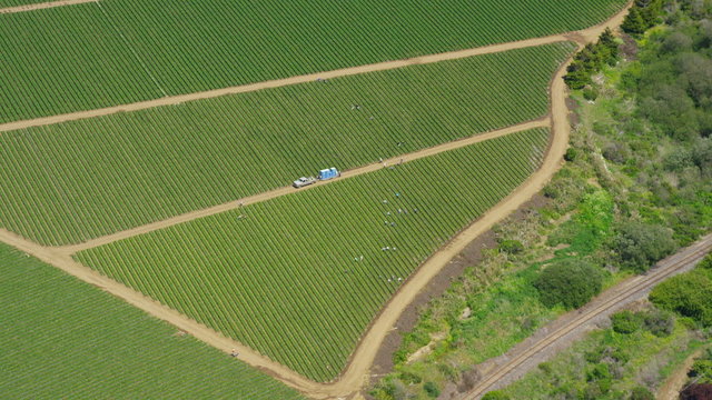 Aerial shot of Agricultural farm land California