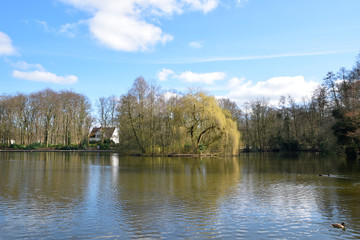 Fototapeta na wymiar Panorama view from lake in spring time