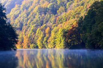 Forest lake morning in autumn