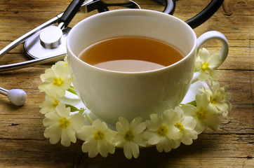 Primula vulgaris Prvosenka 앵초속 Первоцвет Primrose