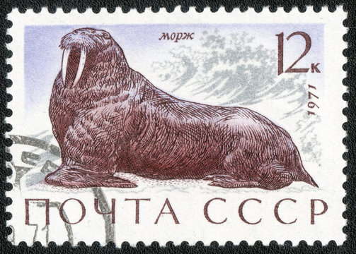 USSR - CIRCA 1971
