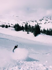 snowboarding in colorado back country