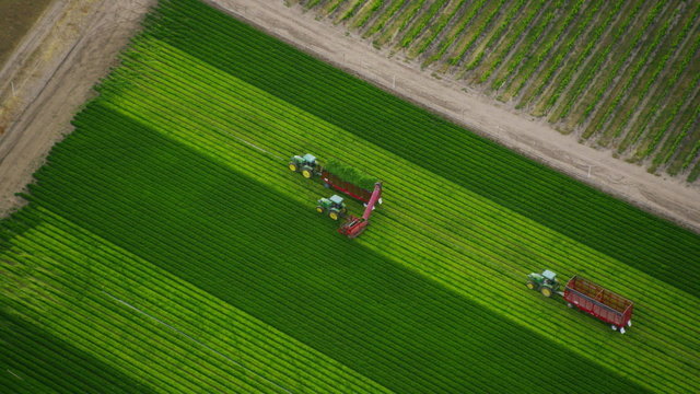 Aerial shot of Agricultural farm land California