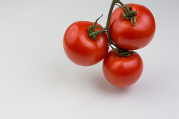 Cluster of Tomatoes on a white Background