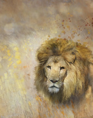 African Lion Portrait © SunnyS