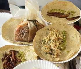  Fried insects and worms tacos from Mexican traditional cuisine © ariadna126