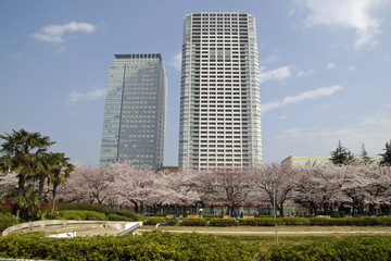 錦糸公園から見るオリナスビル