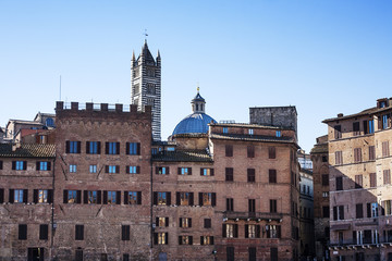 Fototapeta na wymiar View of Siena with glimpse of Siena cathedral tower