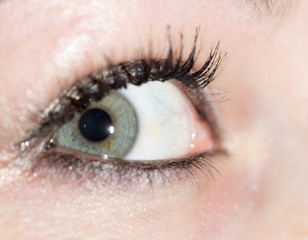 Obraz premium girl eye. close-up