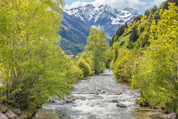 Fototapeta na wymiar Gebirgsbach in Südtirol