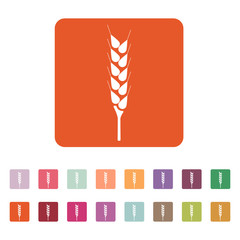 The wheat icon. Spica symbol. Flat