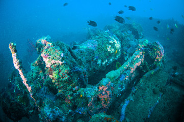 shipwreck bunaken sulawesi indonesia underwater photo