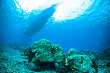 Papier Peint photo autocollant Plonger sponge below boat bunaken sulawesi indonesia underwater photo