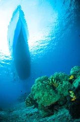 Crédence de cuisine en verre imprimé Plonger sponge below boat bunaken sulawesi indonesia underwater photo
