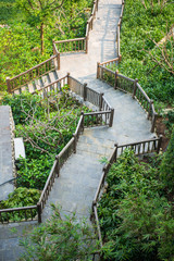 Fototapeta premium beautiful pathway in garden of hotel