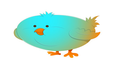 Funny Bird Character