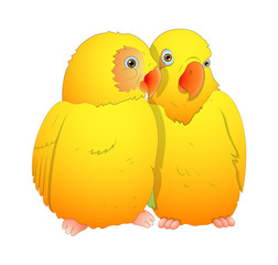 Love Birds