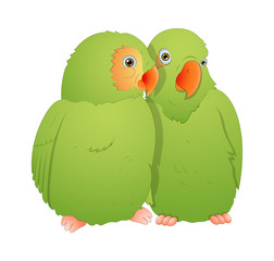 Parrot Bird Pair