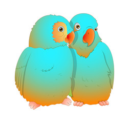 Love Birds Vector