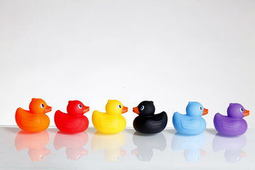 Ente schwimmt gegen den Strom