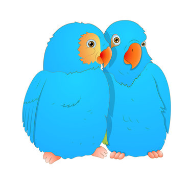 Cartoon Love Birds