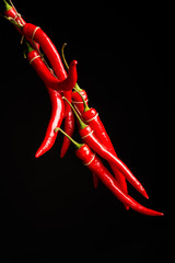 Obraz na płótnie Canvas Bundle of hot peppers