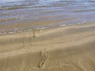Footprints on sand beach toward the sea in Sri Lanka