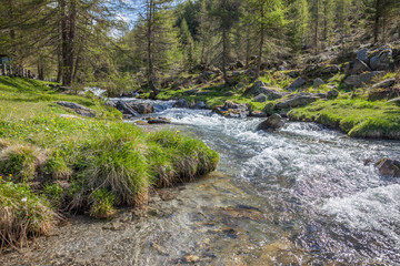 Gebirgsbach in Südtirol