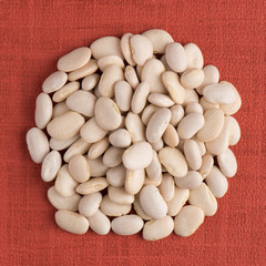 Circle of white beans