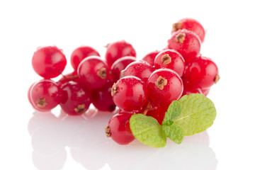 Red Currant