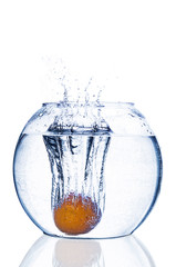 Tangerine falls deeply under water with big splash