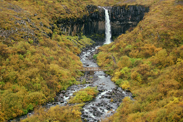 Svartifoss, Black Waterfall in Autumn, Iceland