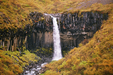 Svartifoss, Black Waterfall in Autumn, Iceland