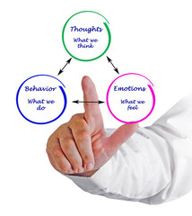 Relationship between cognition, emotions, and behavior