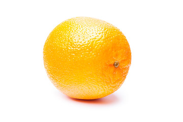 Orange fruit