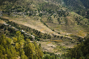 High angle view of small village with terraced field, Uttarkashi